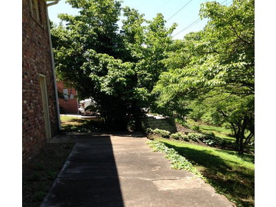 A rough concrete back walkway